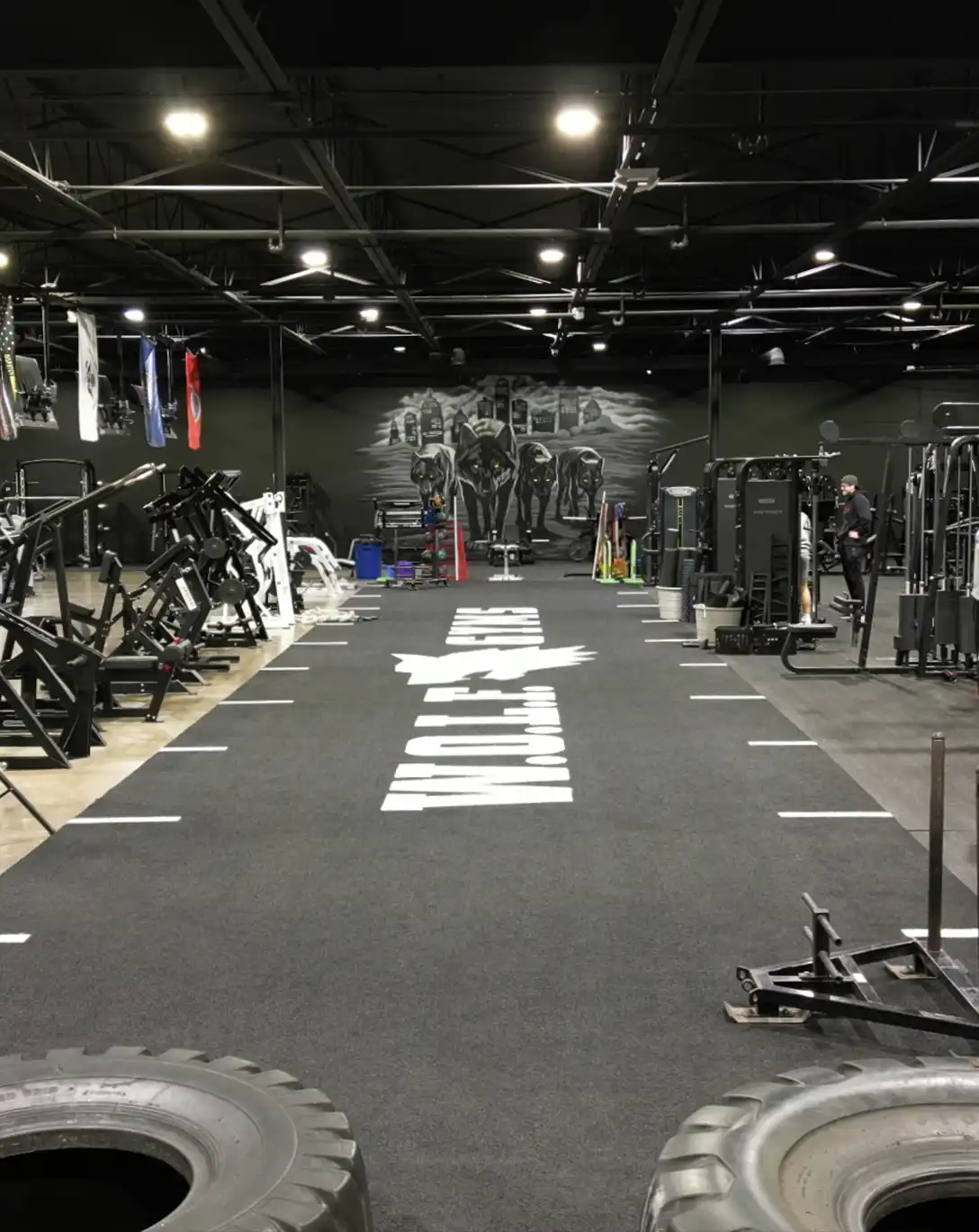 Strength training equipment at Wolf Gym Utica