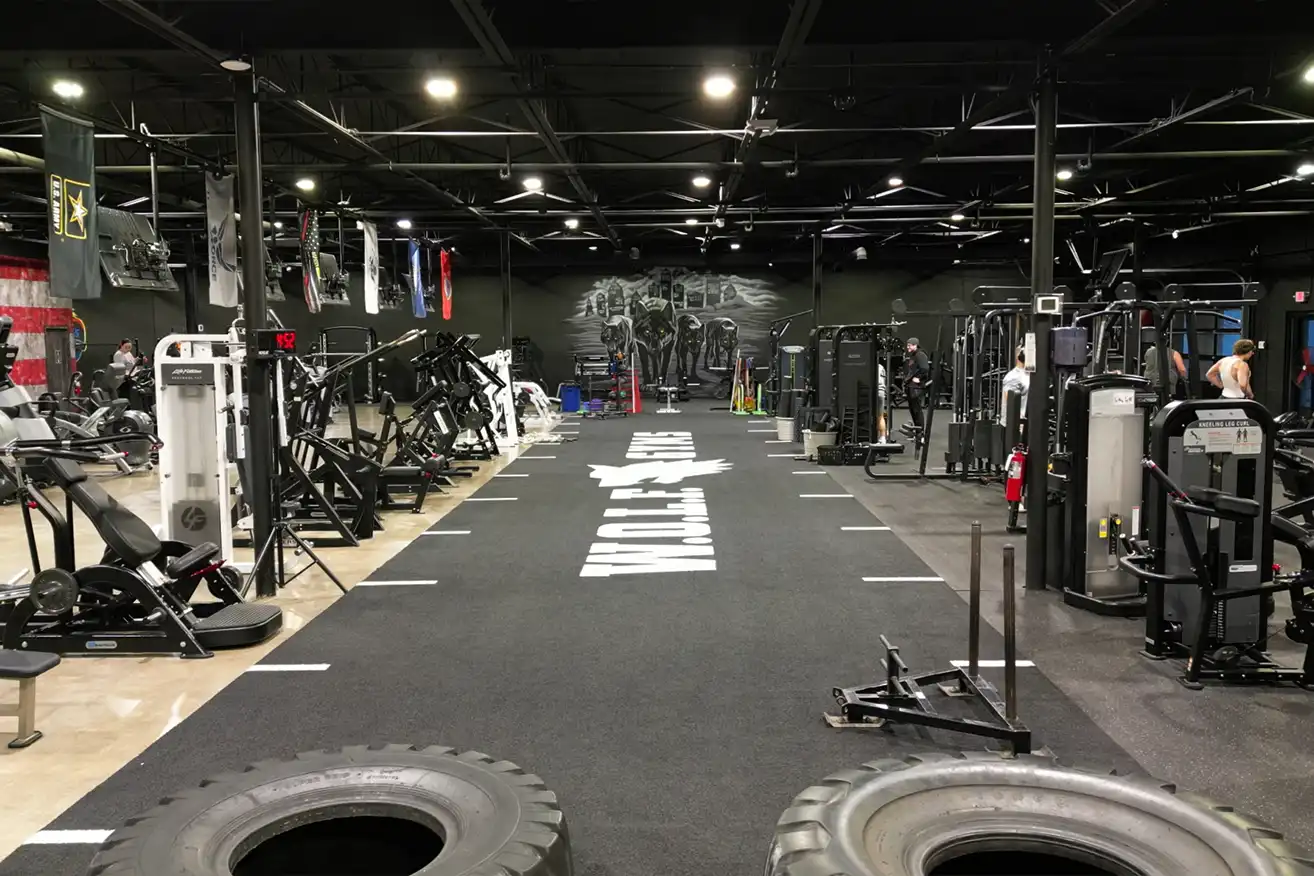Functional training turf at Wolf Gym Utica