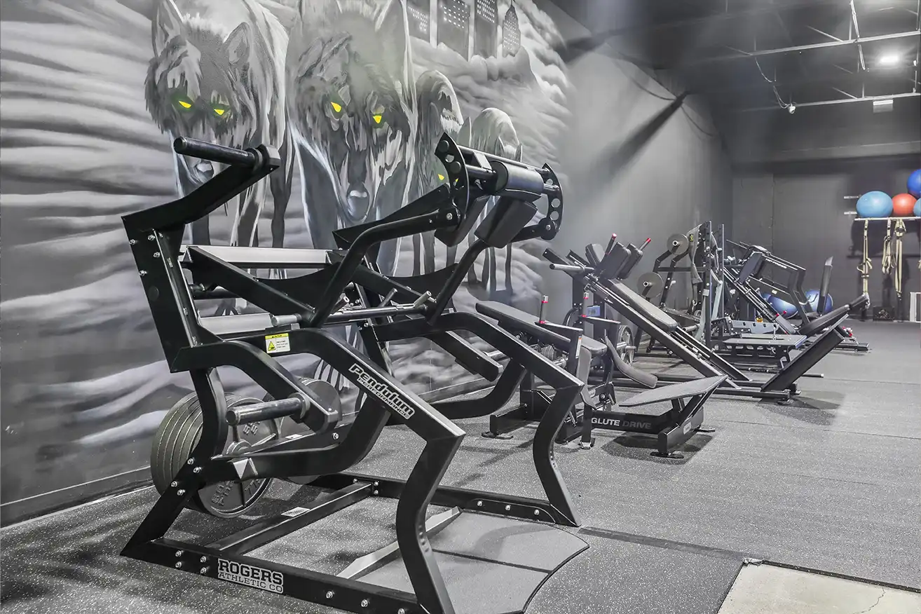 Wolf mural and equipment at Wolf Gym Utica